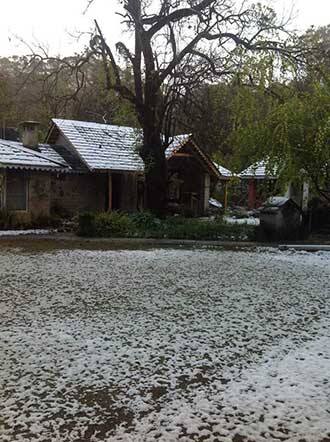 Country Cottage, Palampur 1